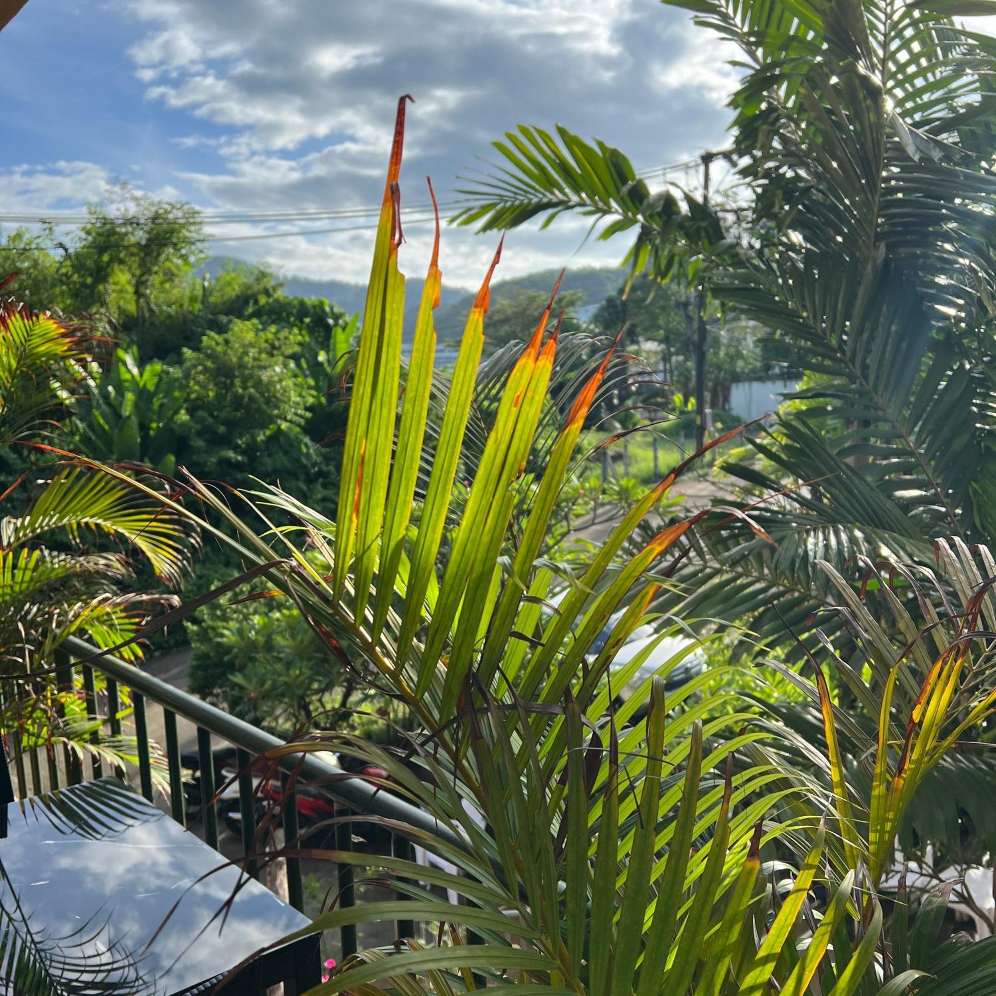 Kata Villa Merit Hill Bungalows Karon Bagian luar foto