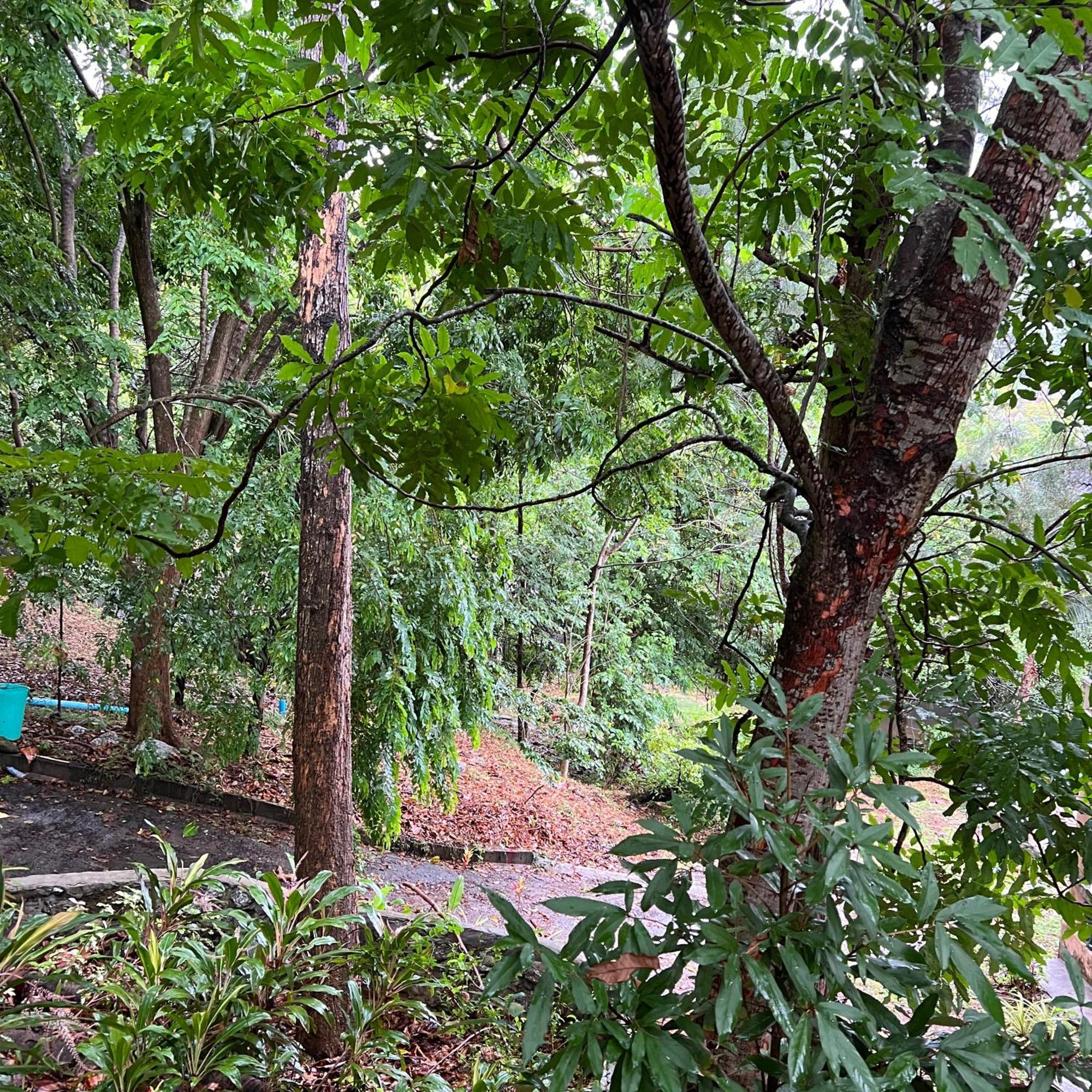 Kata Villa Merit Hill Bungalows Karon Bagian luar foto